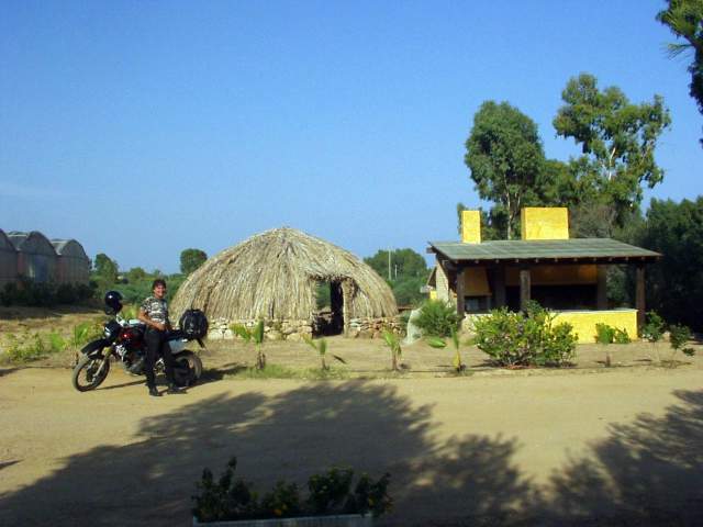 sard2004ww100.jpg