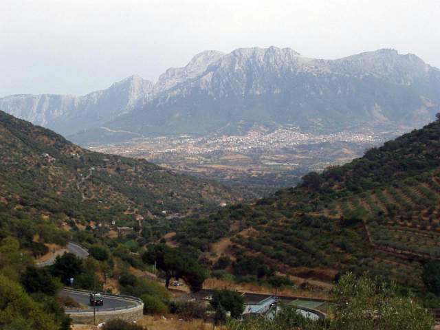 sard2004ww140.jpg