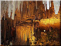 sard2004ww033.jpg