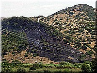 sard2004ww059.jpg