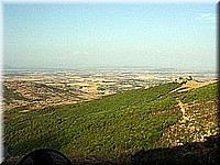 sard2004ww073.jpg