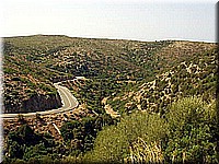 sard2004ww083.jpg