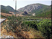 sard2004ww085.jpg