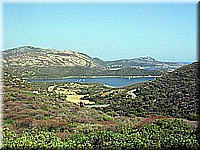 sard2004ww098.jpg
