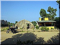 sard2004ww100.jpg