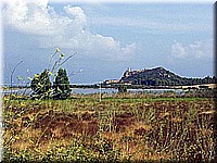 sard2004ww122.jpg