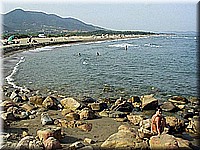 sard2004ww125.jpg