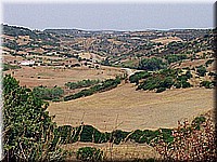 sard2004ww130.jpg