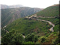 sard2004ww133.jpg