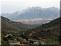 sard2004ww140.jpg