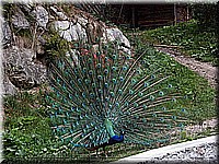 B7 schlossneuhaus2004df378.jpg