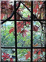 H8 schlossneuhaus2005as262.jpg