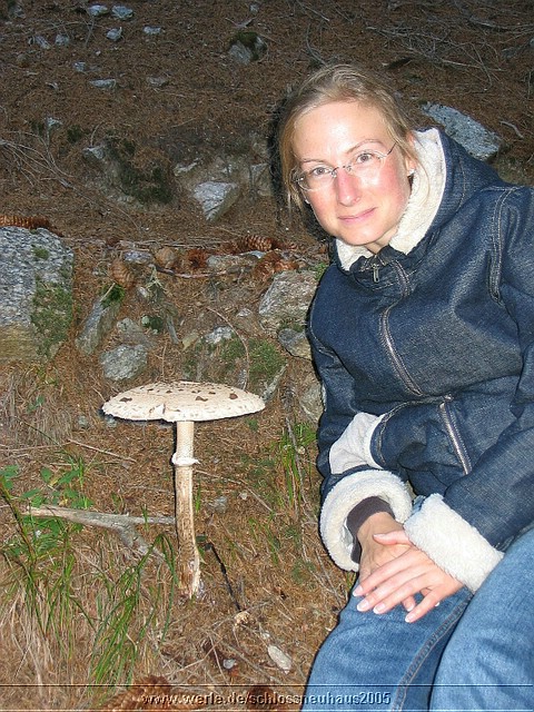 B3 schlossneuhaus2005cw375.jpg