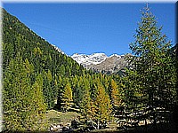 K1 schlossneuhaus2005cw434.jpg