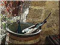 W3 schlossneuhaus2005ww58.jpg