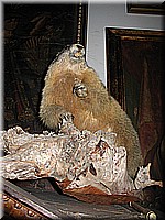 schlossneuhaus2006cw745.jpg