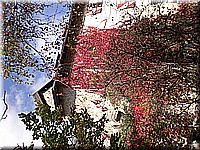 schlossneuhaus2006ir606.jpg