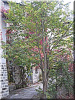 schlossneuhaus2006kf007.jpg