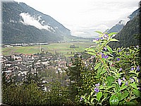 schlossneuhaus2006pw272.jpg