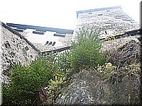 schlossneuhaus2006pw273.jpg