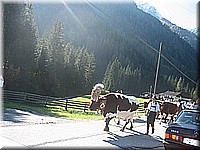 schlossneuhaus2006pw330.jpg
