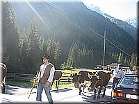schlossneuhaus2006pw331.jpg