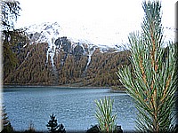 schlossneuhaus2006pw363.jpg