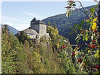 schlossneuhaus2006ww009.jpg