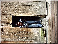 schlossneuhaus2006ww043.jpg