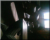 schlossneuhaus2006ww052.jpg