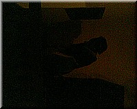 schlossneuhaus2006ww053.jpg