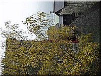 schlossneuhaus2006ww060.jpg