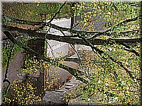 schlossneuhaus2006ww061.jpg