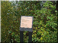 schlossneuhaus2006ww063.jpg