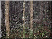schlossneuhaus2006ww070.jpg