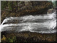 schlossneuhaus2006ww078.jpg