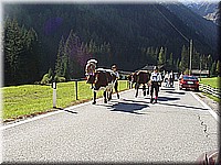 schlossneuhaus2006ww112.jpg