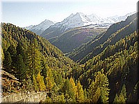 schlossneuhaus2006ww118.jpg