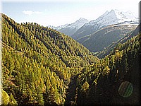 schlossneuhaus2006ww120.jpg