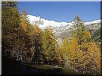 schlossneuhaus2006ww128.jpg