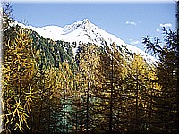 schlossneuhaus2006ww129.jpg