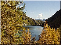 schlossneuhaus2006ww130.jpg