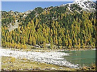 schlossneuhaus2006ww136.jpg