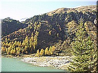 schlossneuhaus2006ww143.jpg