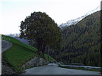 schlossneuhaus2006ww150.jpg