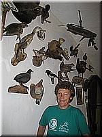 schlossneuhaus2007jj15.jpg