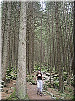 schlossneuhaus2007jj65.jpg