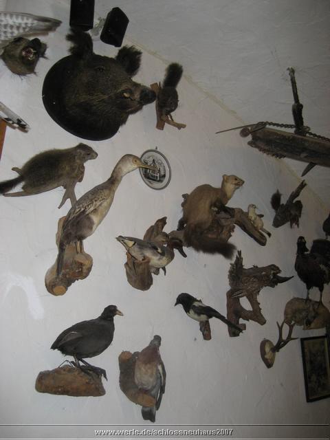 schlossneuhaus2007jj04.jpg