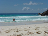 Click to enlarge seychellen2012ww633.jpg
