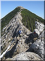 spitzing2007ww066.jpg